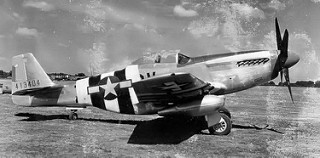 359th_Fighter_Group_P51_Mustangs